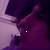 :iconw0e: