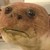 :iconw1r14mu: