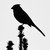w4graphics :iconw4graphics: