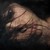 :iconw-eed: