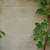 :iconw-iris:
