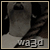 :iconwa3d-alhawa: