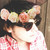 :iconwaddle16926cp: