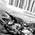 :iconWaddlesworth: