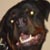 :iconwaelag: