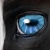 :iconwafflesandsyrup22: