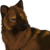 :iconwahotts: