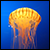 :iconwainson: