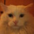:iconwaitinglei: