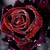 WaitingRose :iconwaitingrose: