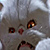 :iconwaiumad: