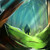 Wakamash :iconwakamash: