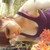 :iconwaketiffany: