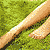 :iconwakeupinstyle: