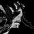:iconwalcalr01: