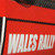 :iconwalesrallyart: