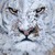 :iconwalgard: