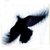 :iconwalkerer: