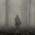 :iconwalks-in-fog: