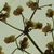 :iconwalkwithshadows: