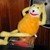 :iconwall-ethespy: