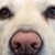:iconwallaceguy: