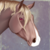 :iconwallaper: