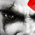 :iconwallbest: