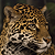 :iconWallcrawler62: