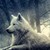 :iconwalle1707: