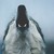 :iconwallflower1776: