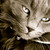 :iconwallowinginsorrow: