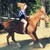 :iconwally123horse: