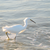 :iconwallyloach: