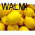 WALM :iconwalm:
