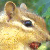 :iconwalnutkid108: