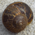 :iconwalpapa-06: