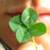 :iconwan-kanin: