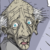 :iconwanchtran: