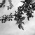 :iconwanderingchild1783: