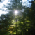 :iconwanderingostrich: