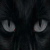:iconwanderingpoet: