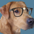 :iconwanderlust-kennels: