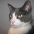 :iconwanderthyme: