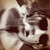 :iconwangxinlu:
