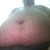 :iconwanna-b-obese: