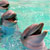 :iconwanna-be-underwater: