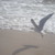 :iconwanna-fly98: