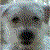 :iconwannabekaiju: