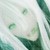 :iconwant3d222: